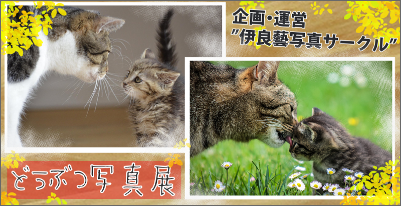 どうぶつ写真展